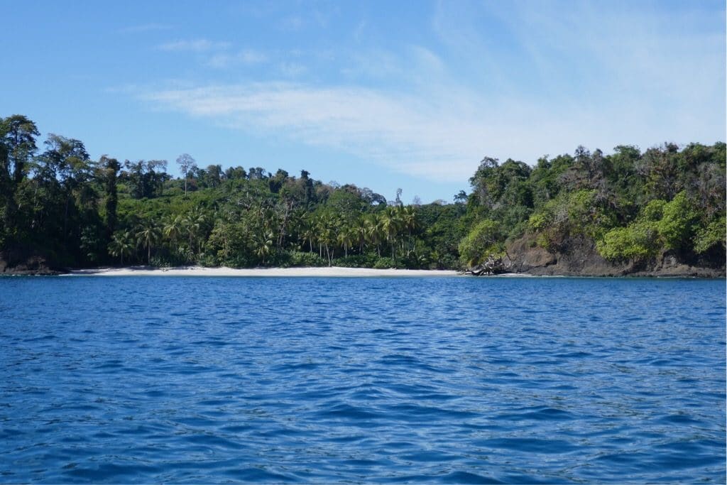 Boca Chica