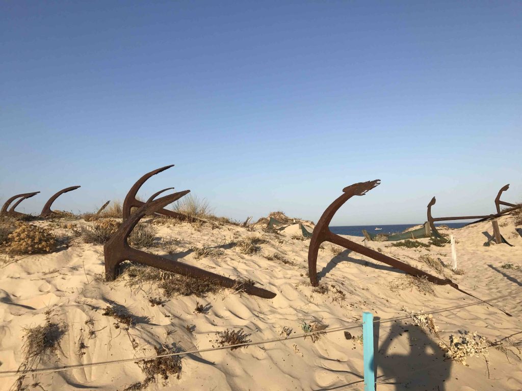 Cimetière des ancres - Tavira