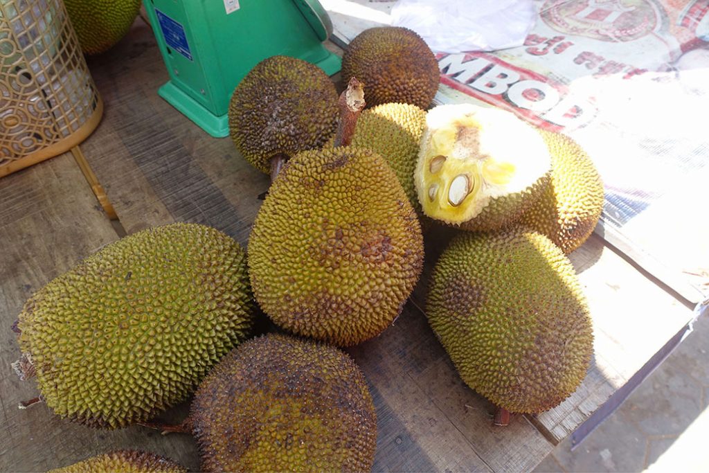 Visite chez les Durians.